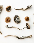 Supplemental Herbalist Consult: Micro-dosing Protocol 🍄🌿